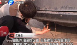 毛多水多视频,揭秘毛发生长与水分关系的奥秘