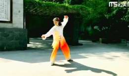 太极视频,视频中的动静相生与阴阳平衡